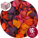 Coloured Sea Shells - Autumn Mix - 8918